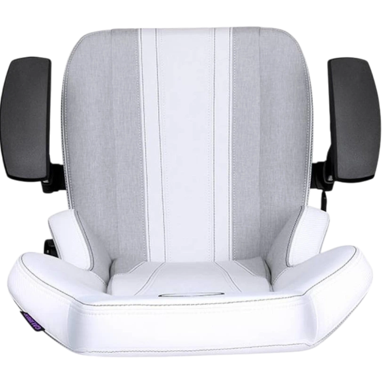 صندلی گیمینگ کولر مستر مدل Cooler Master Caliber X2C Gray White