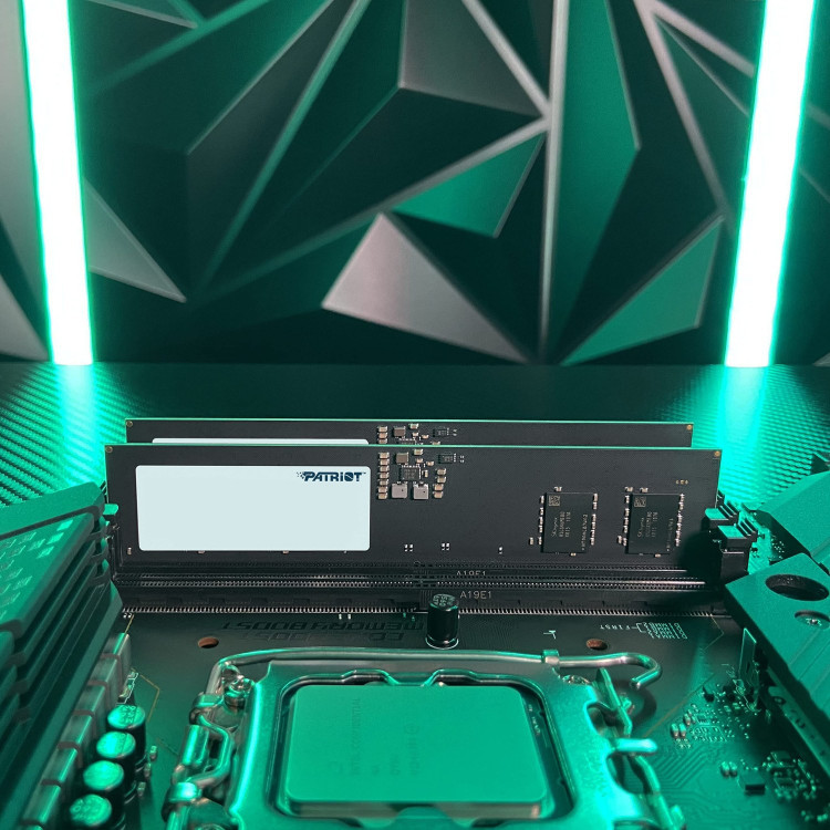 رم کامپیوتر Signature Line DDR5 پاتریوت تک کاناله 16GB فرکانس 4800MHz